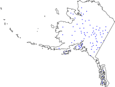 Station map
