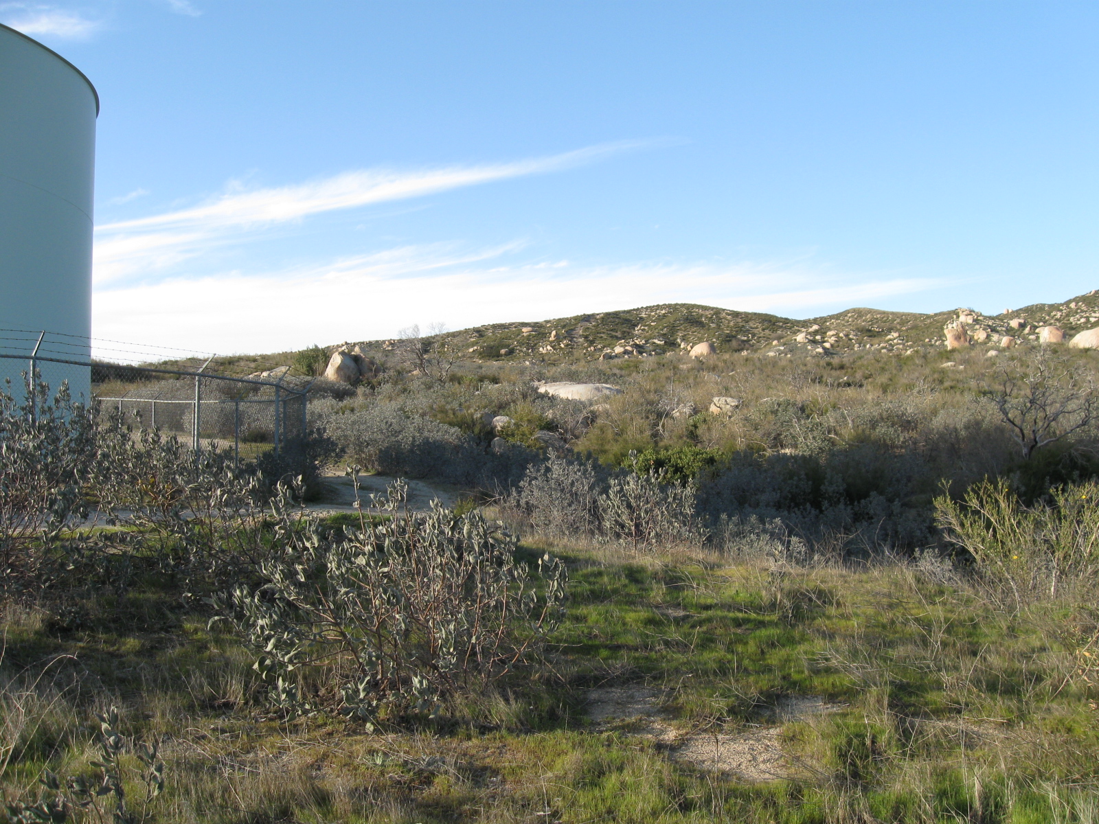 Poppet flats ca