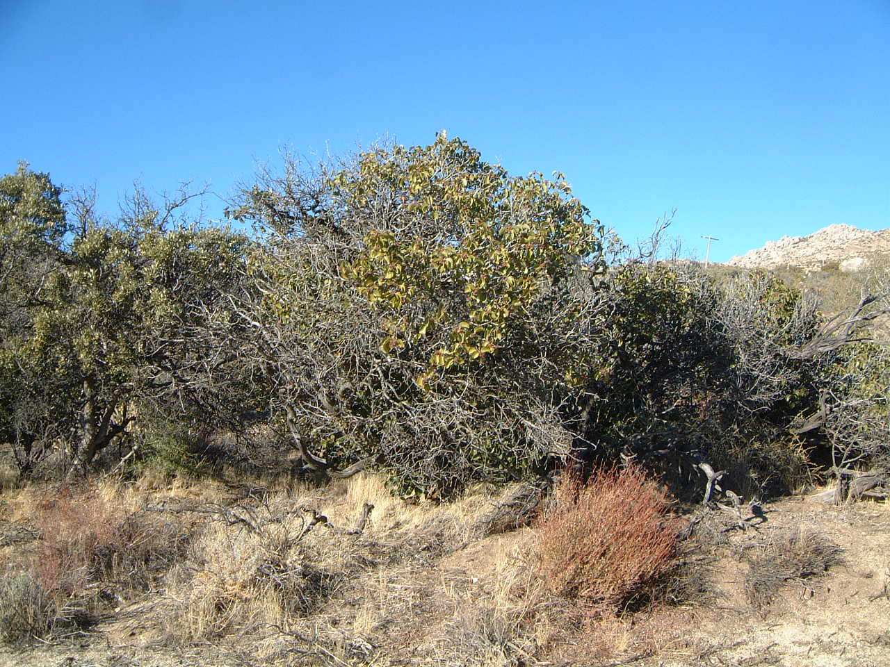 ranchita dating Crime, law and justice, and police blotter near ranchita, ca or anywhere in the us. ranchita dating Crime, law and justice, and police blotter near ranchita, ca or anywhere in the us.