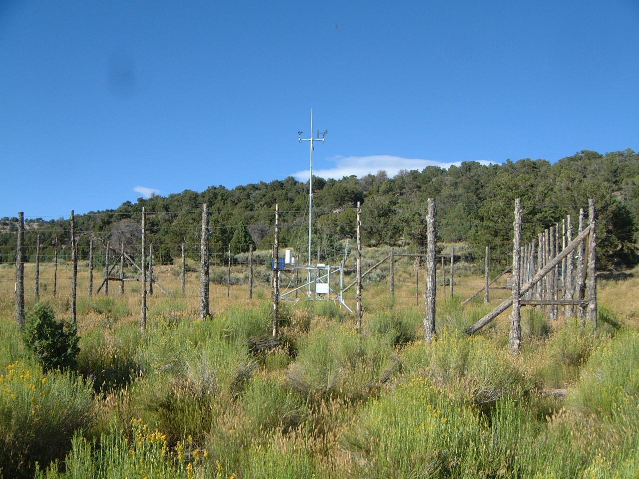South